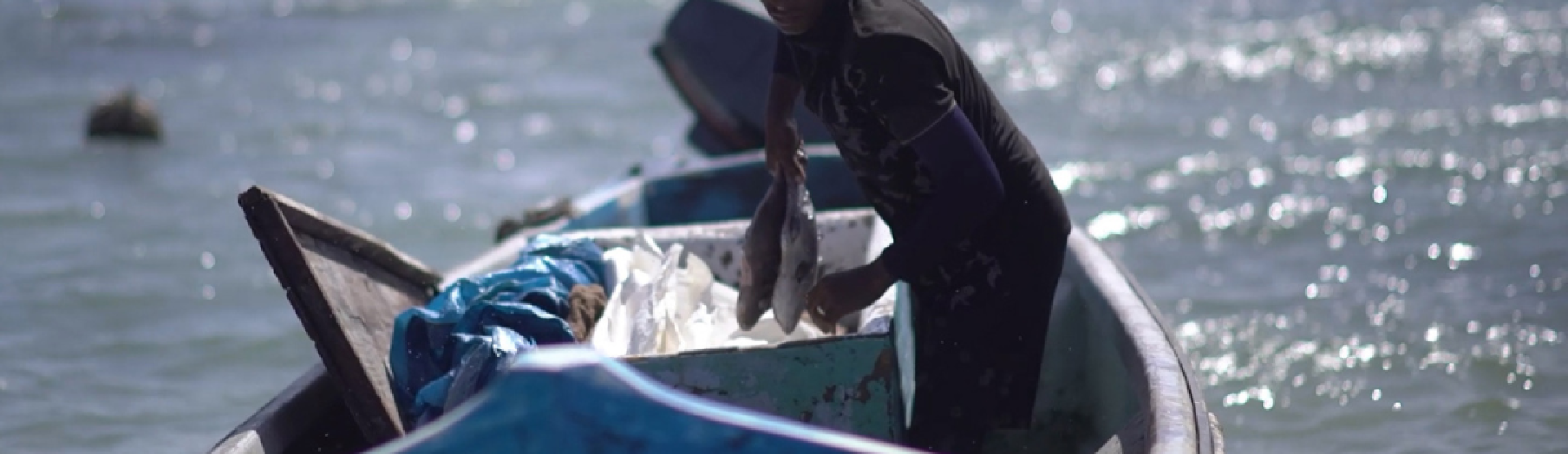 ICARRD+20 abordará los desafíos del cambio climático y las verdaderas causas de las tragedias ambientales