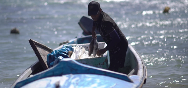 ICARRD+20 abordará los desafíos del cambio climático y las verdaderas causas de las tragedias ambientales