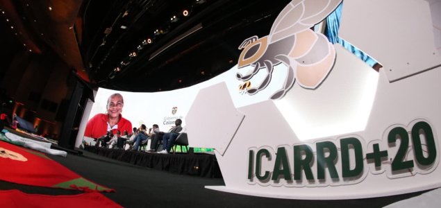 Declaración final de ICARRD+20